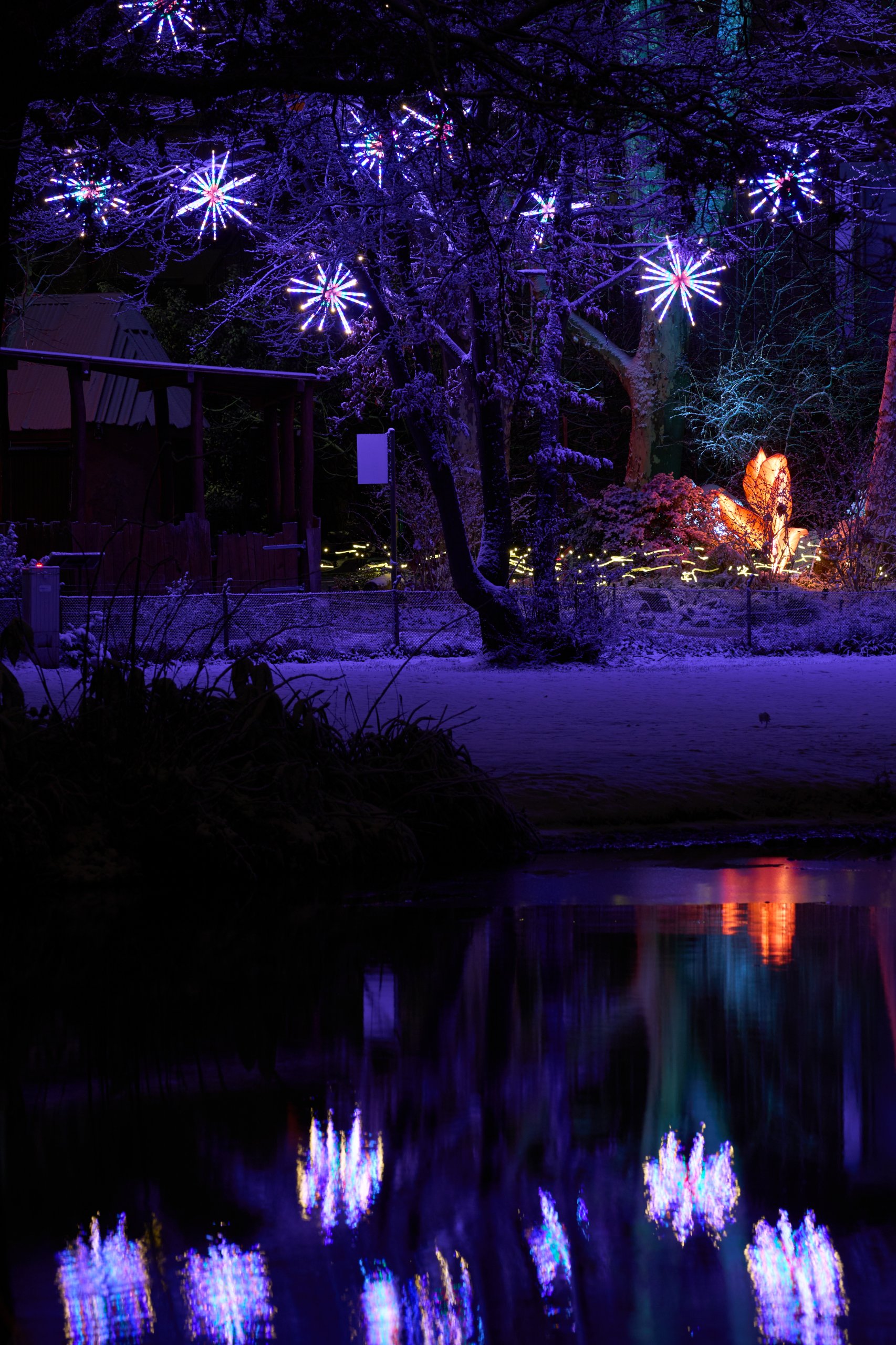 2026 01 05 China Lights 0063